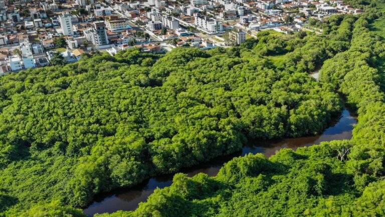 A stunning aerial view of lush forest and cityscape in João Pessoa, Brazil.