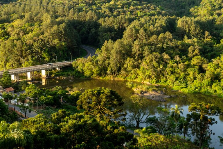 Lush green forest landscape featuring a bridge over a tranquil river in Telêmaco Borba, Brazil.