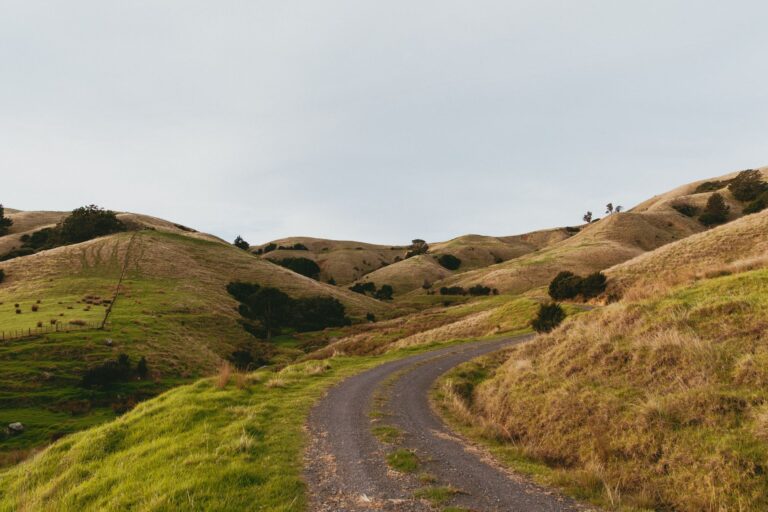 Explore the serene landscape of rural hills in Kereta, Waikato, New Zealand with this captivating countryside road view.