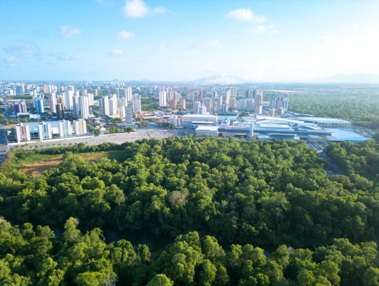 A stunning aerial view showcasing the city skyline of Fortaleza with lush green forest in the foreground.